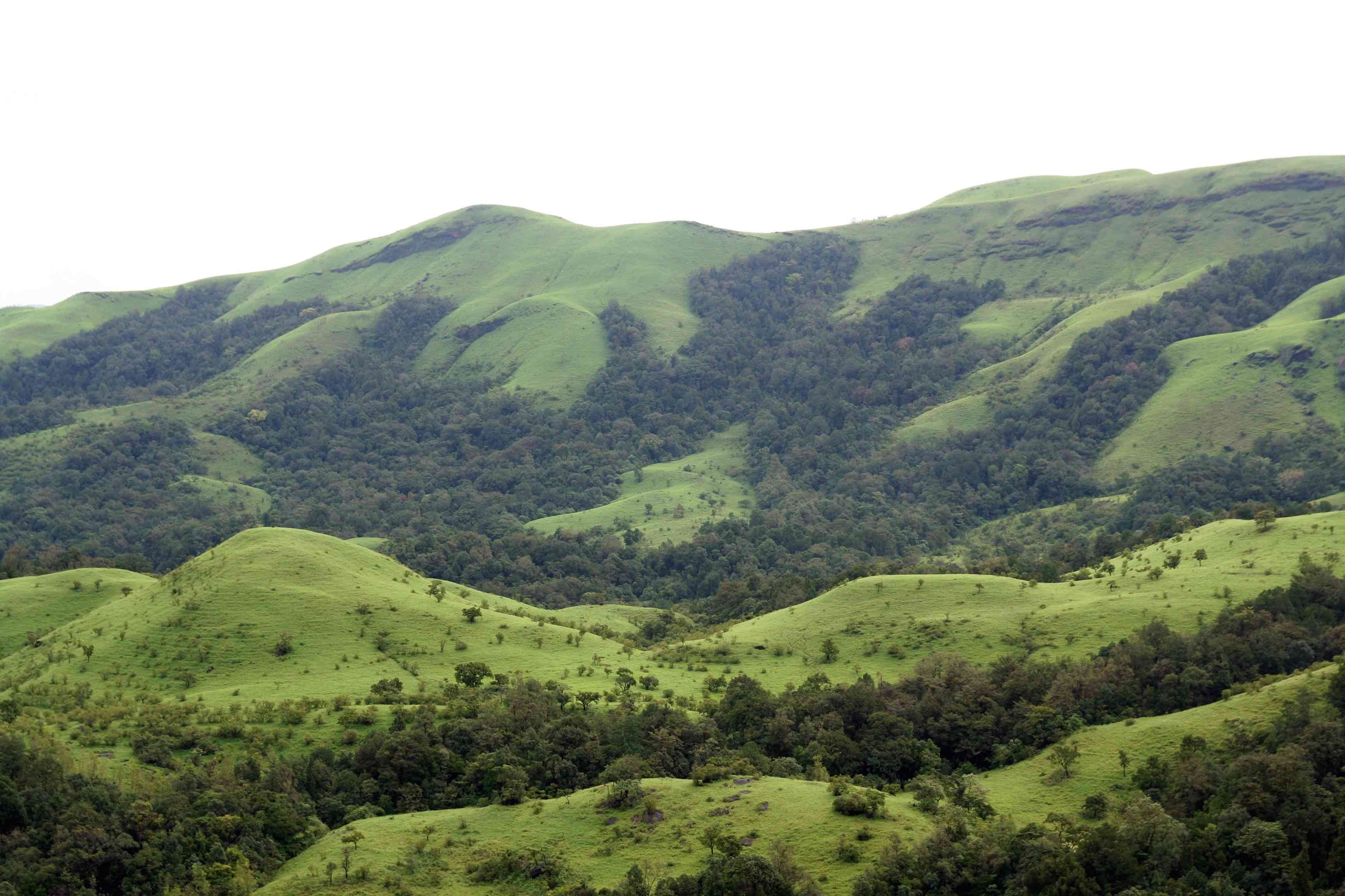 western-ghats